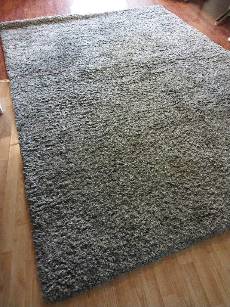 Shag Carpet