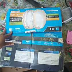 Led flush mount ceiling lights