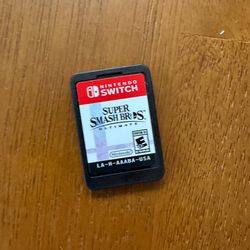 Smash bros ultimate no case