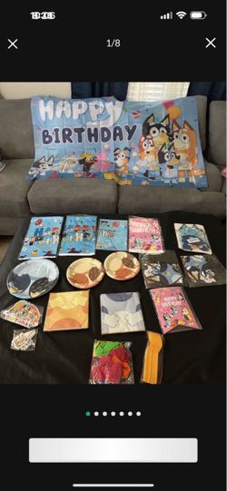 Bluey party supplies
