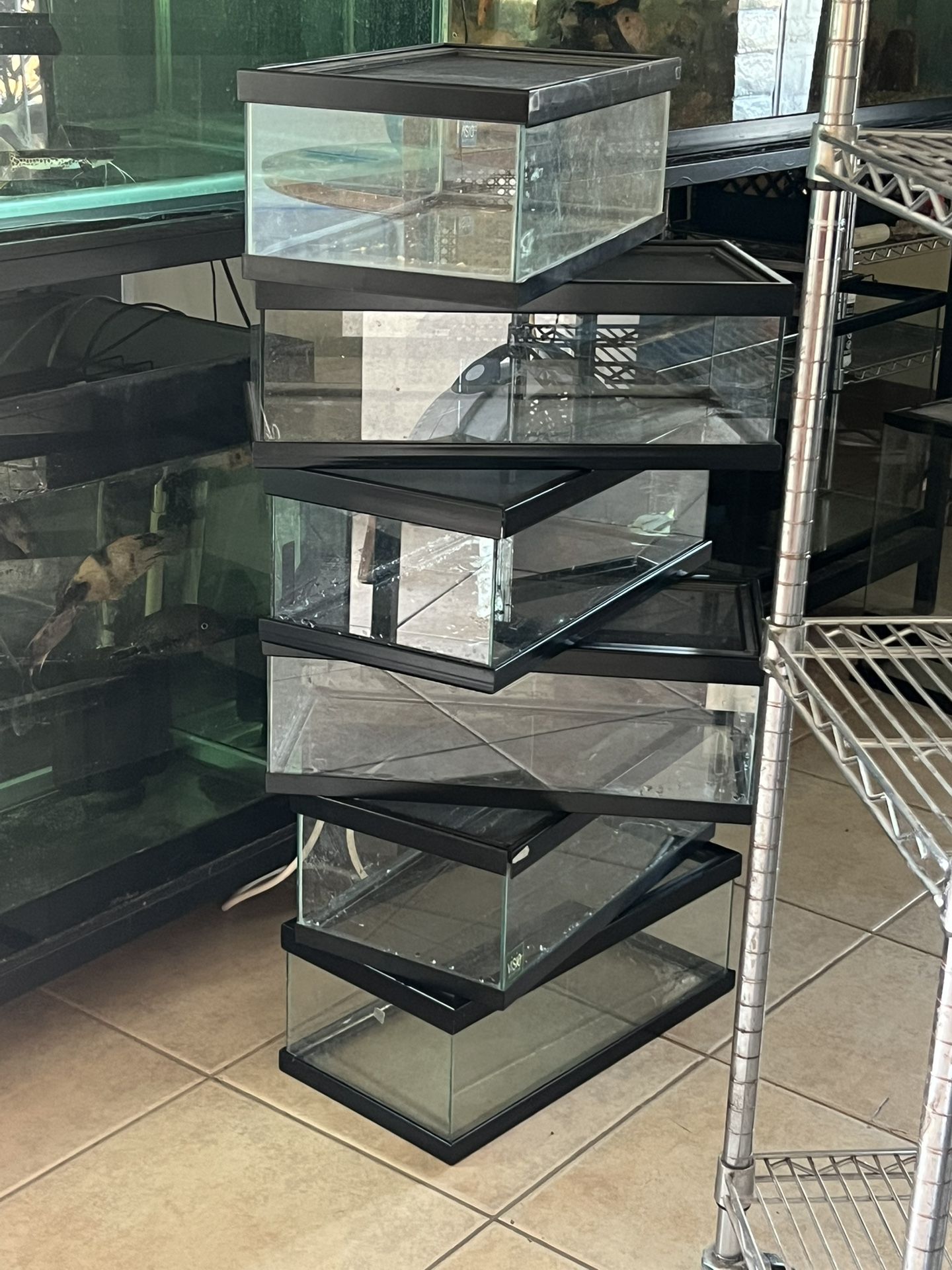 Exoterra Terrarium Bioactive Tank Reptizoo