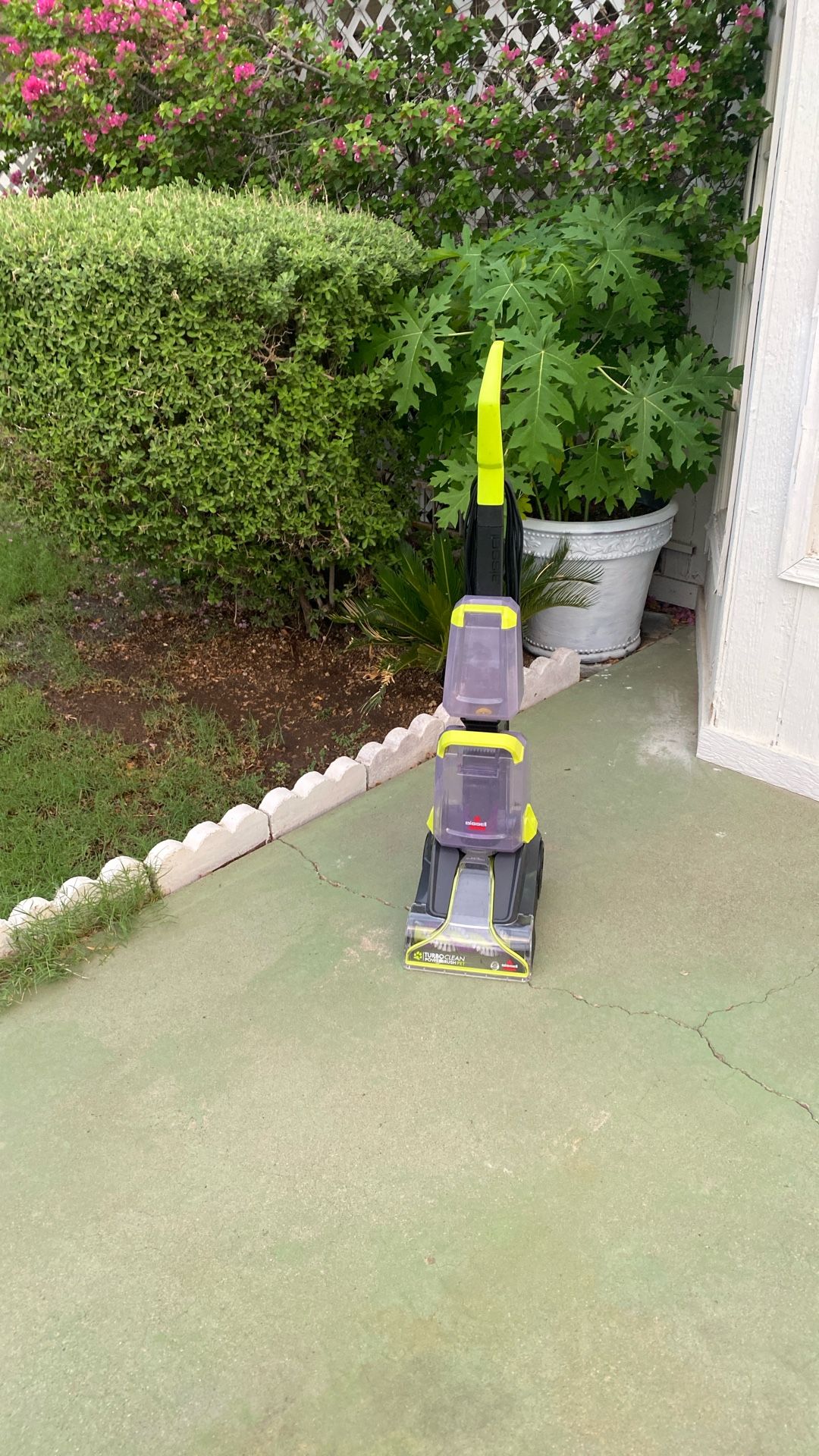 Turbo Clean Powerbrush Pet Bissell