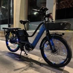 Giant Momentum Pakyak Ebike 