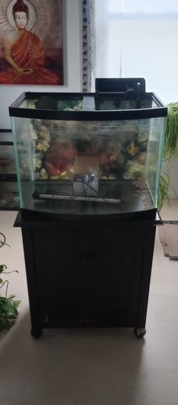 Fish Tank 
