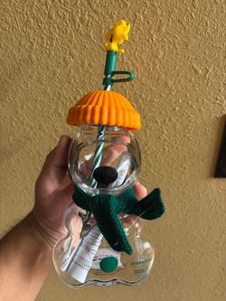 Starbucks x Peanuts Woodstock Glass Cup with Straw
