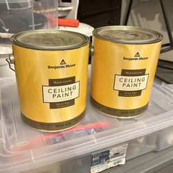 Benjamin Moore Ceiling Paint