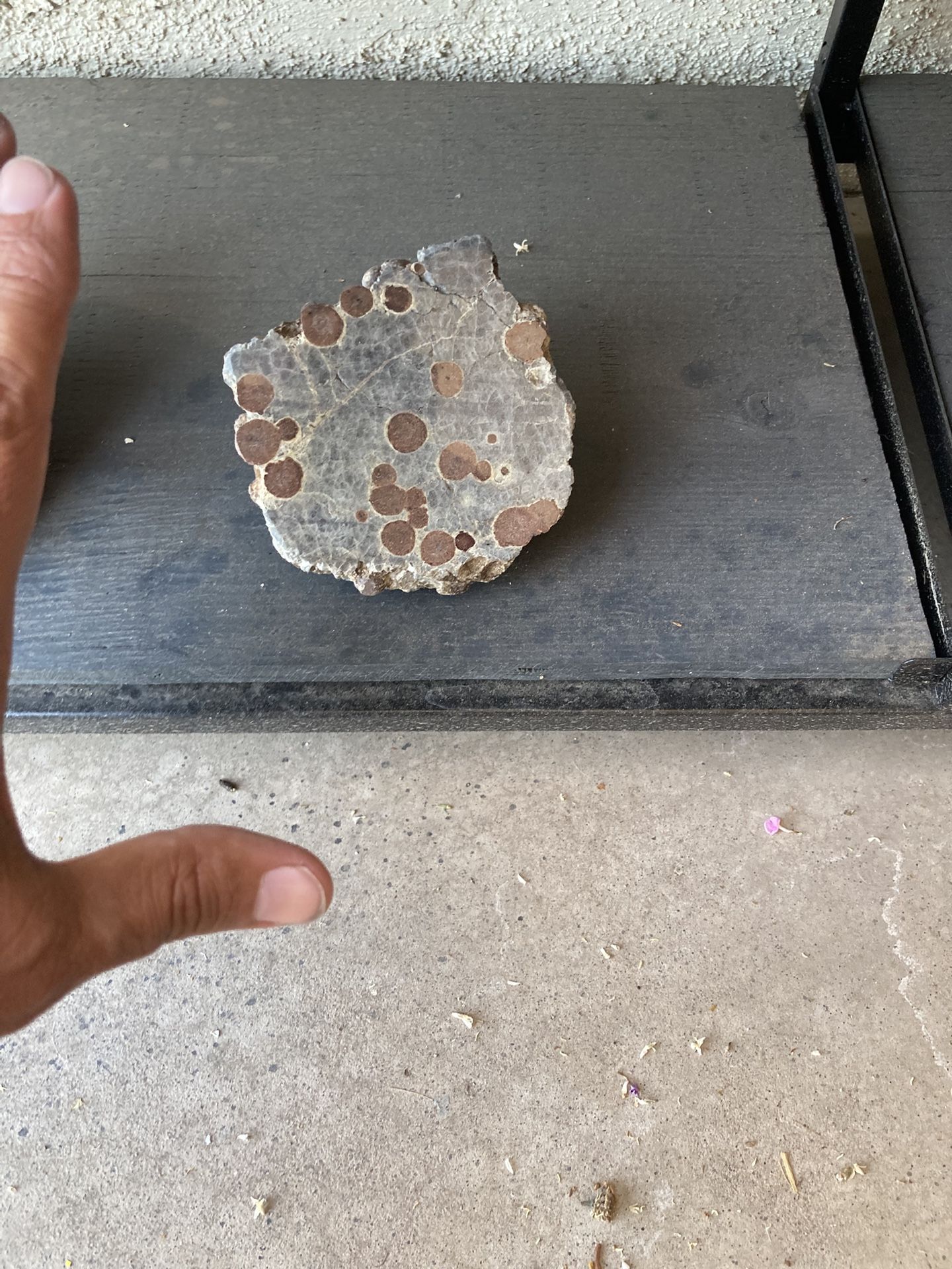 Peanut Obsidian