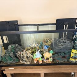 Aquarium (Fish Tank Set)