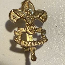 Boy Scout Pins 