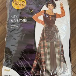 Mary Sanders costume