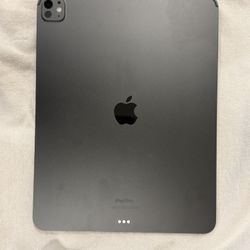 13 Inch iPad Pro M4 512GB