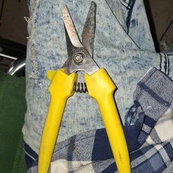 Flower bunch cutters