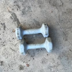 Weights For Exercise 4lbs