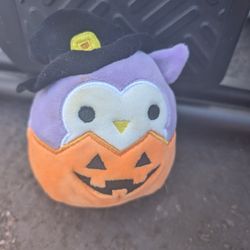 Squishmallow- Holly the Owl "In a Pumpkin"