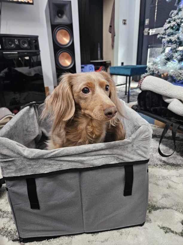 Dog Car Seats for Small Dogs