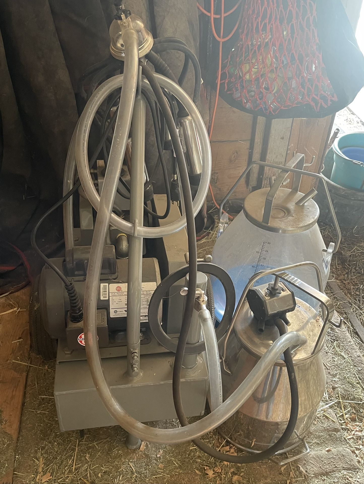 Complete Cow Milking System