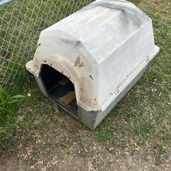 Dog House 