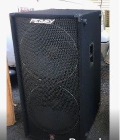 18 Inch Peeavy Concert Speaker