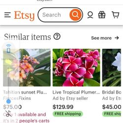 Plumeria Plan Hawaiillan