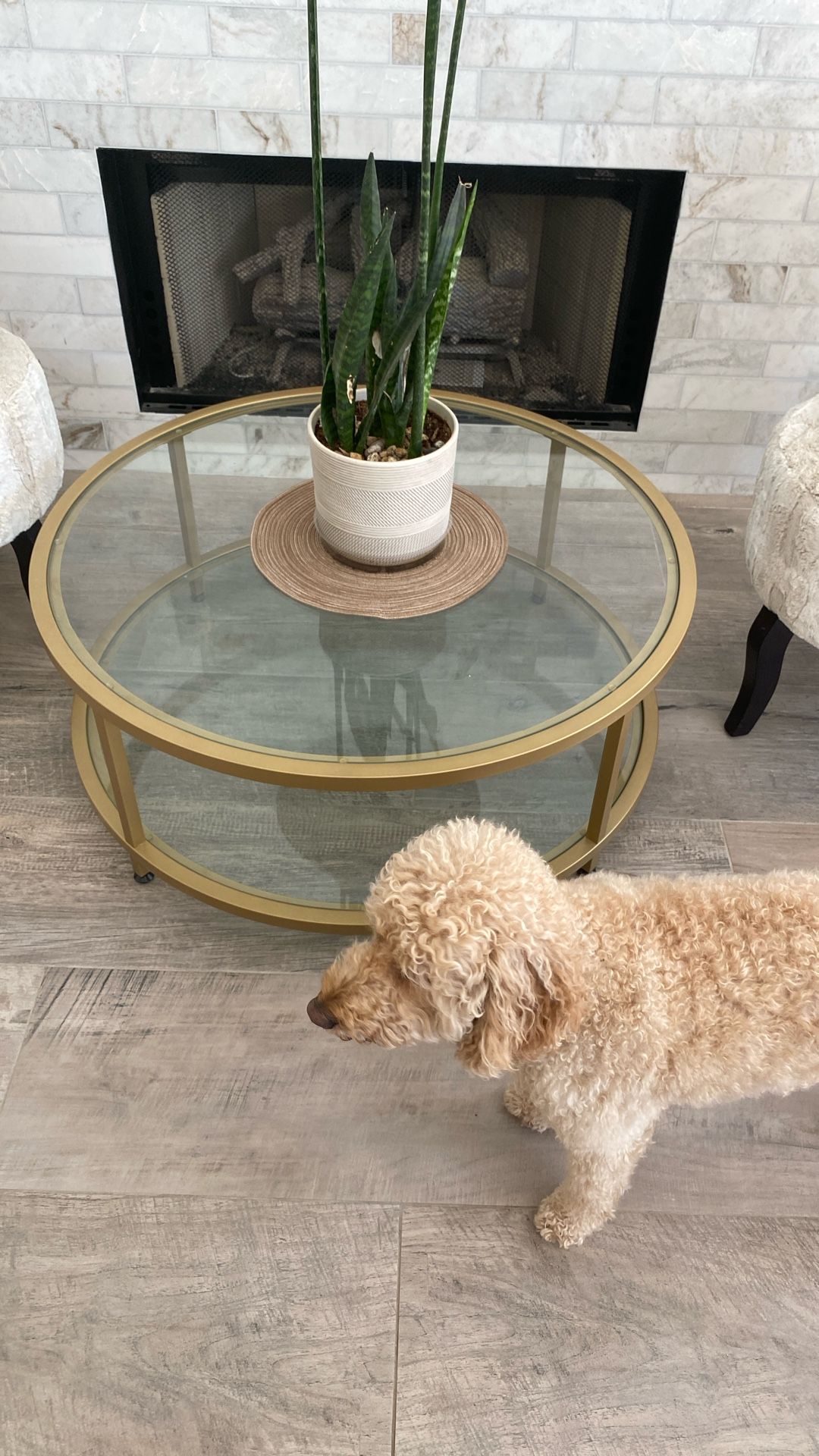 Glass Coffee Table