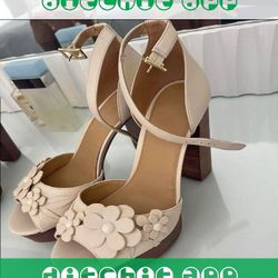 Event Fashion Shine with Sophisticated and Modern Styles successful book