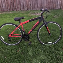 speed/Road Bike