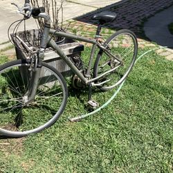 Bicycle