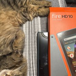 FireHd10 Tablet 