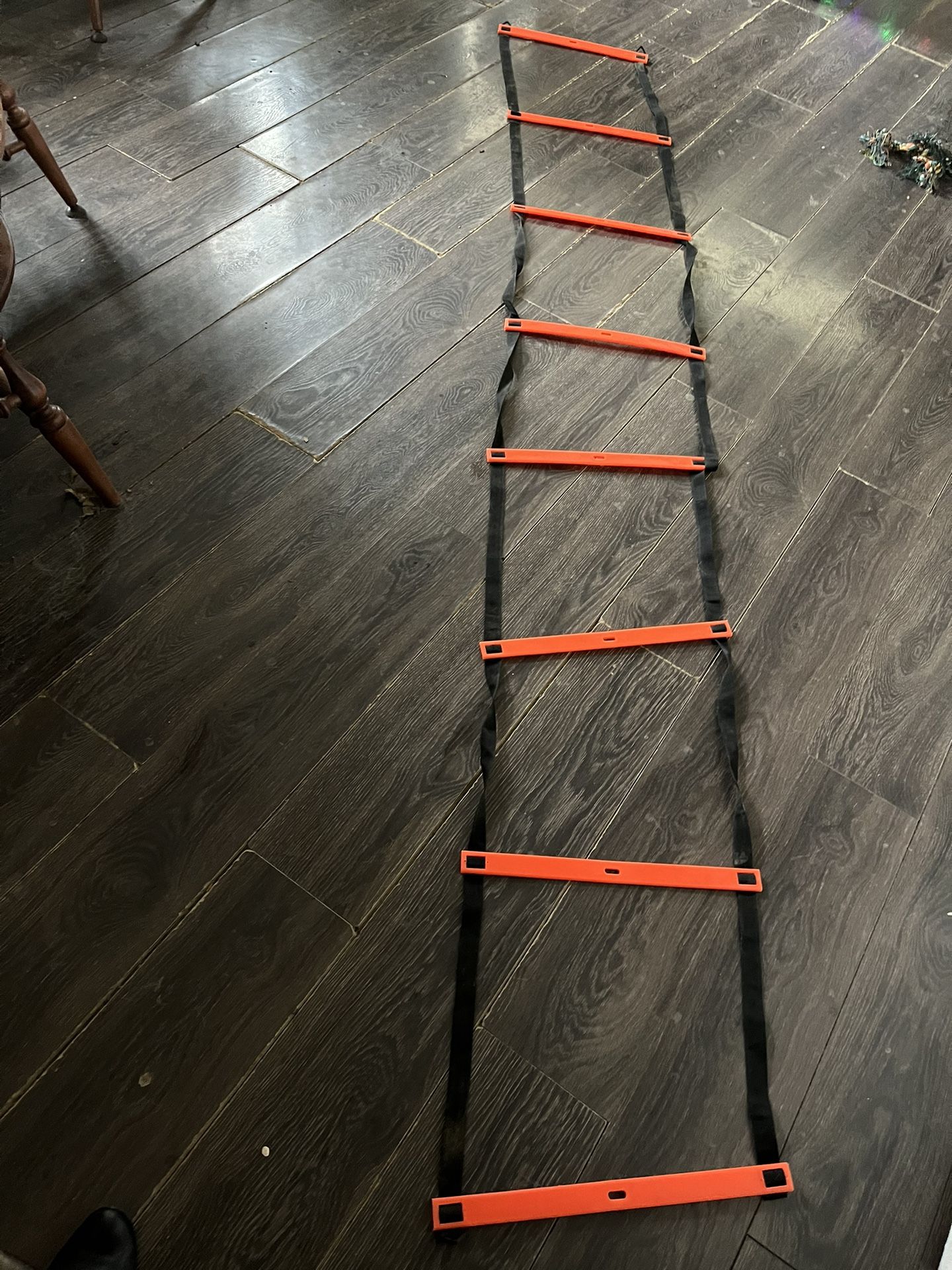 Agility Ladder