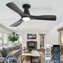 Ceiling Fan with Lights and APP