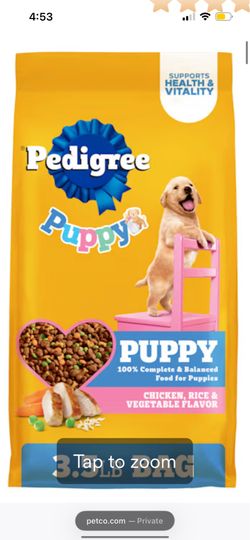 Puppy