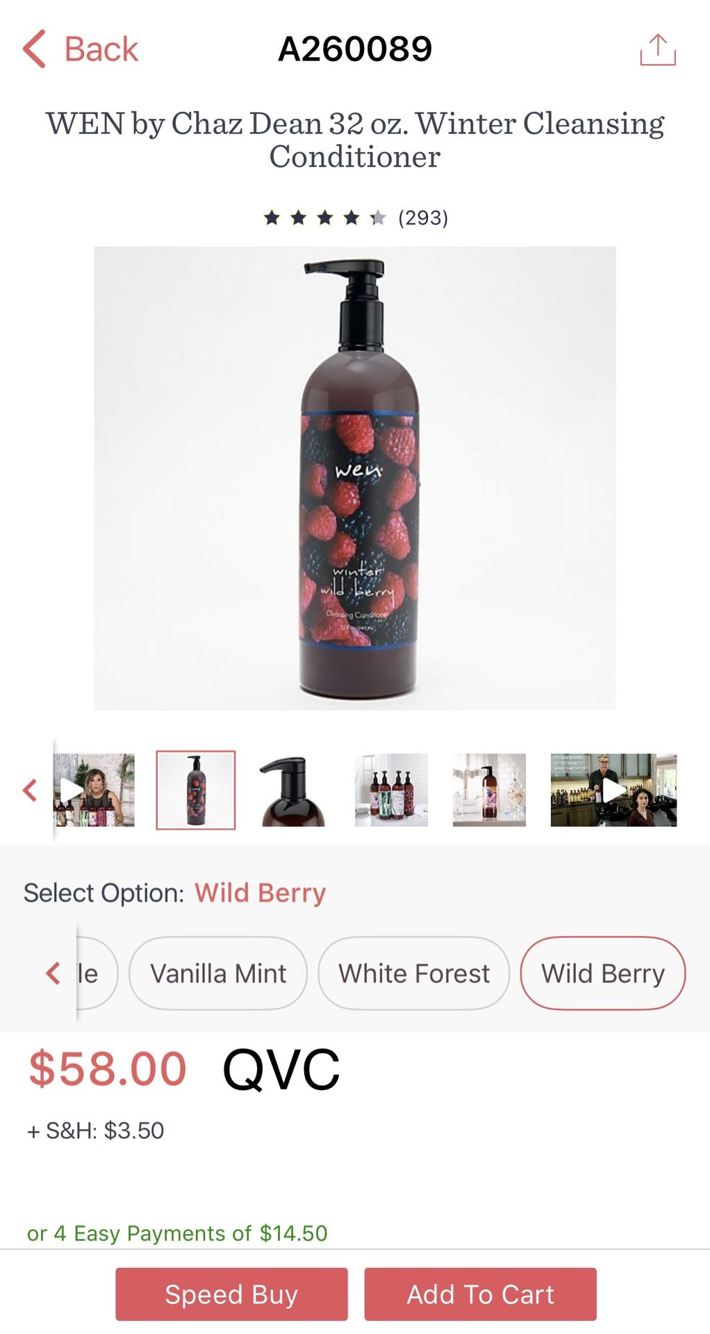 Wen by Chaz Dean 32oz Winter Wild Berry