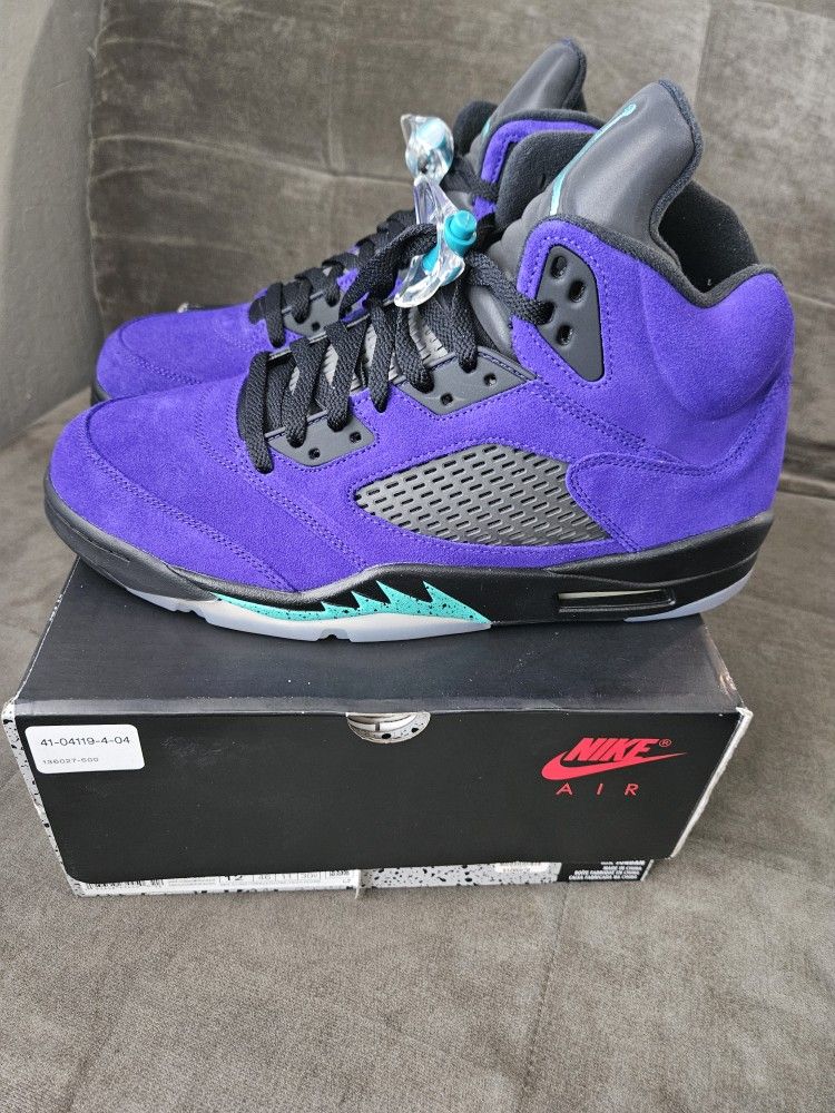 Jordan Retro 5 Alternative Grape