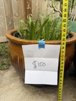 Ceramic Garden Pots