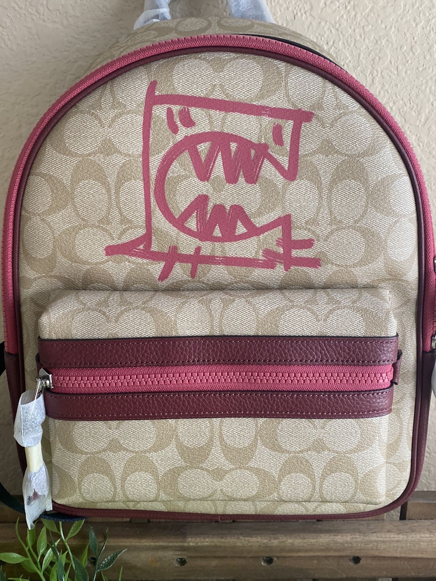 Coach Vale Rexy Medium Charlie Backpack