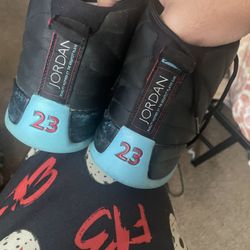 Jordan 12 