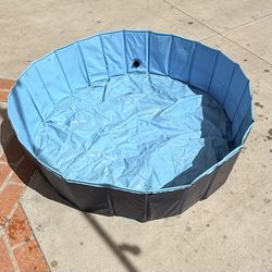 Doggie Pool 