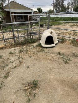 Dog Igloos
