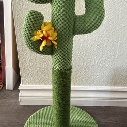 Lovely Caves Cactus Cat Scratcher – Like New