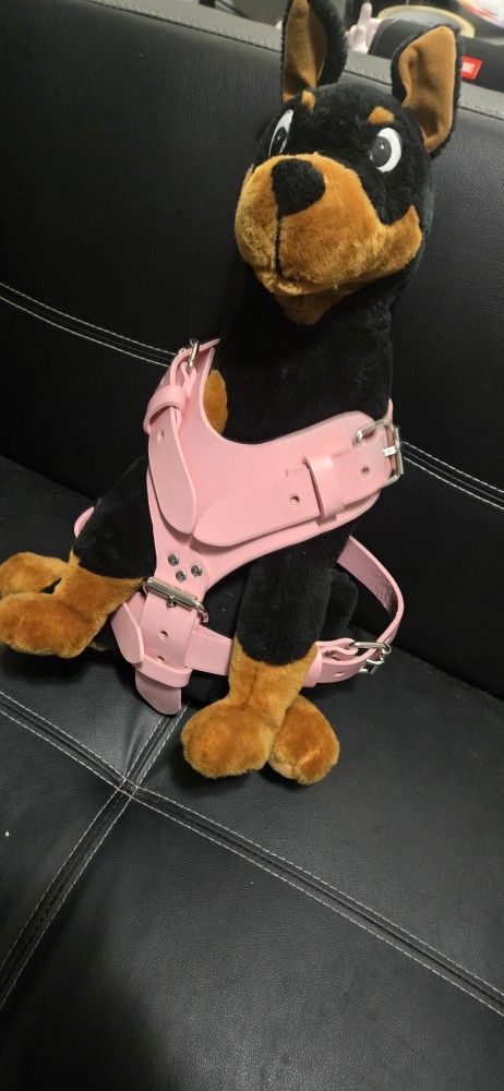 Dog Harness