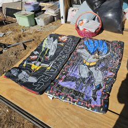 Sleeping Bag For Kids $ 10 For Both 