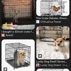 Chihuahua Cage 