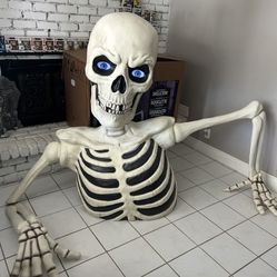 Ground Breaker Skeleton Great Condition