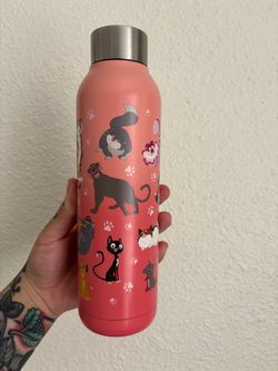Disneyland Water Bottle Disney Canteen Hydroflask