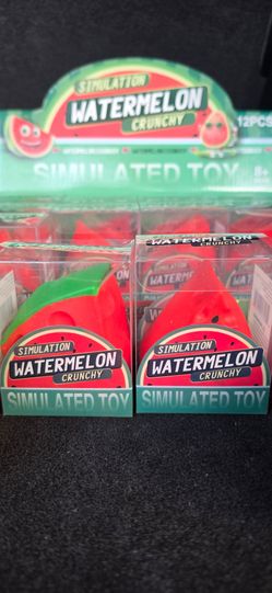 CRUNCHY WATERMELON SQUISHY BUNDLE