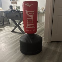 Everlast Punching Bag