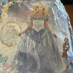 Cinderella costume