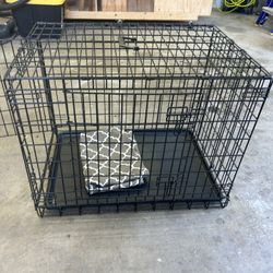 Dog Kennel