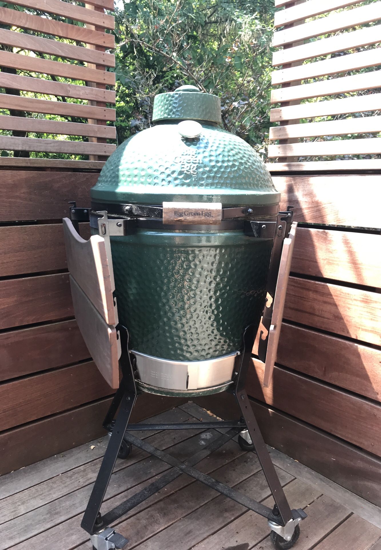 Gently used large Big Green Egg with pizza stone
