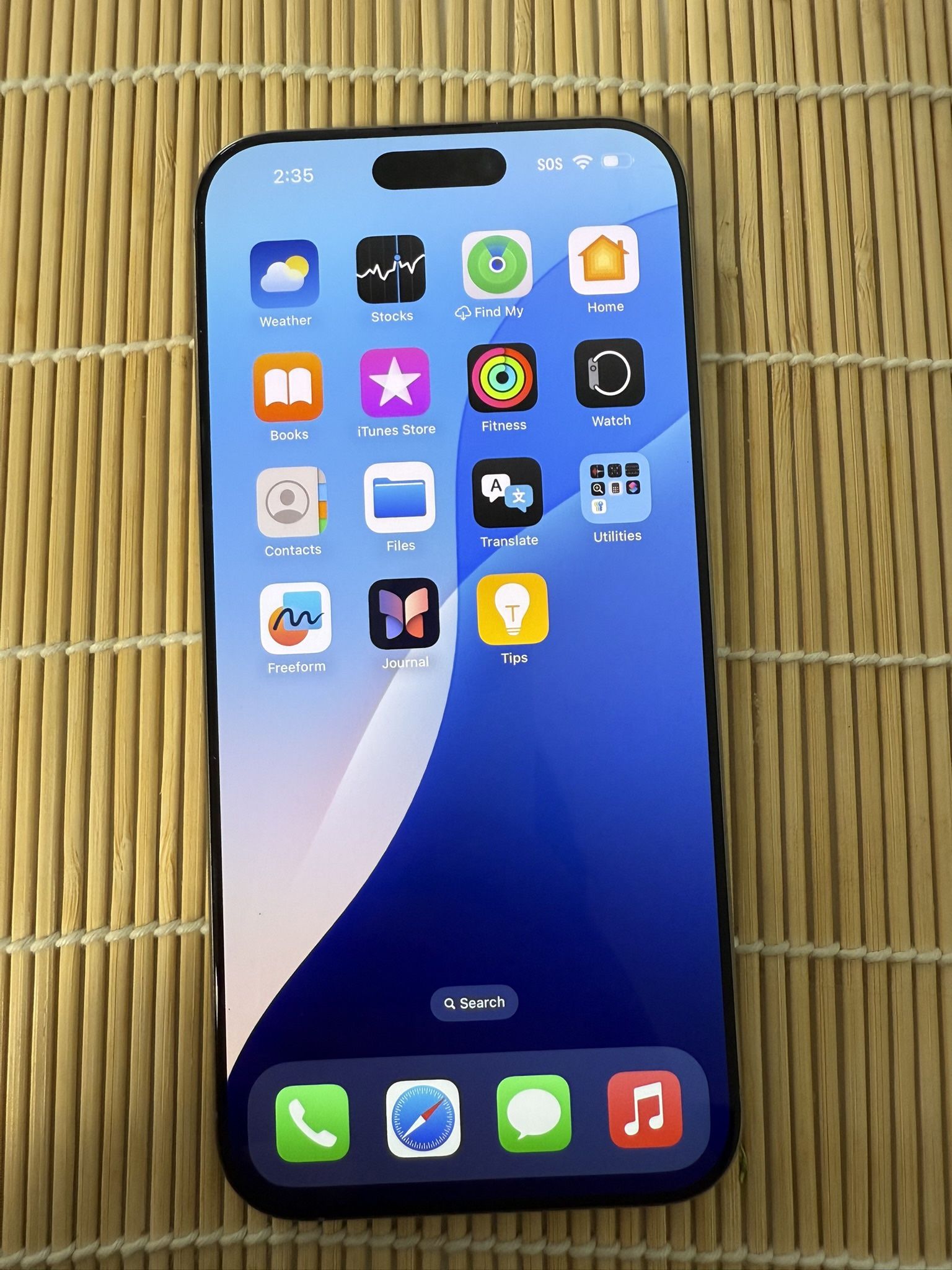 iPhone 16 Pro Max